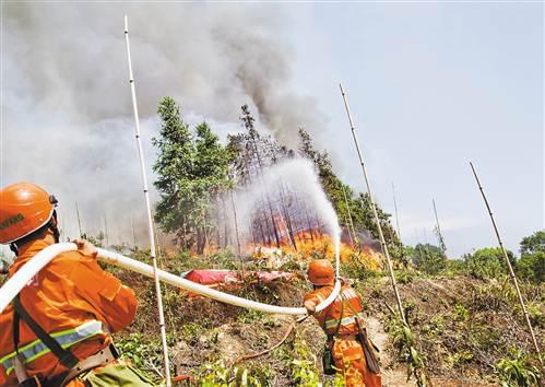 重慶為應對突發(fā)森林火災 進行應急消防演練